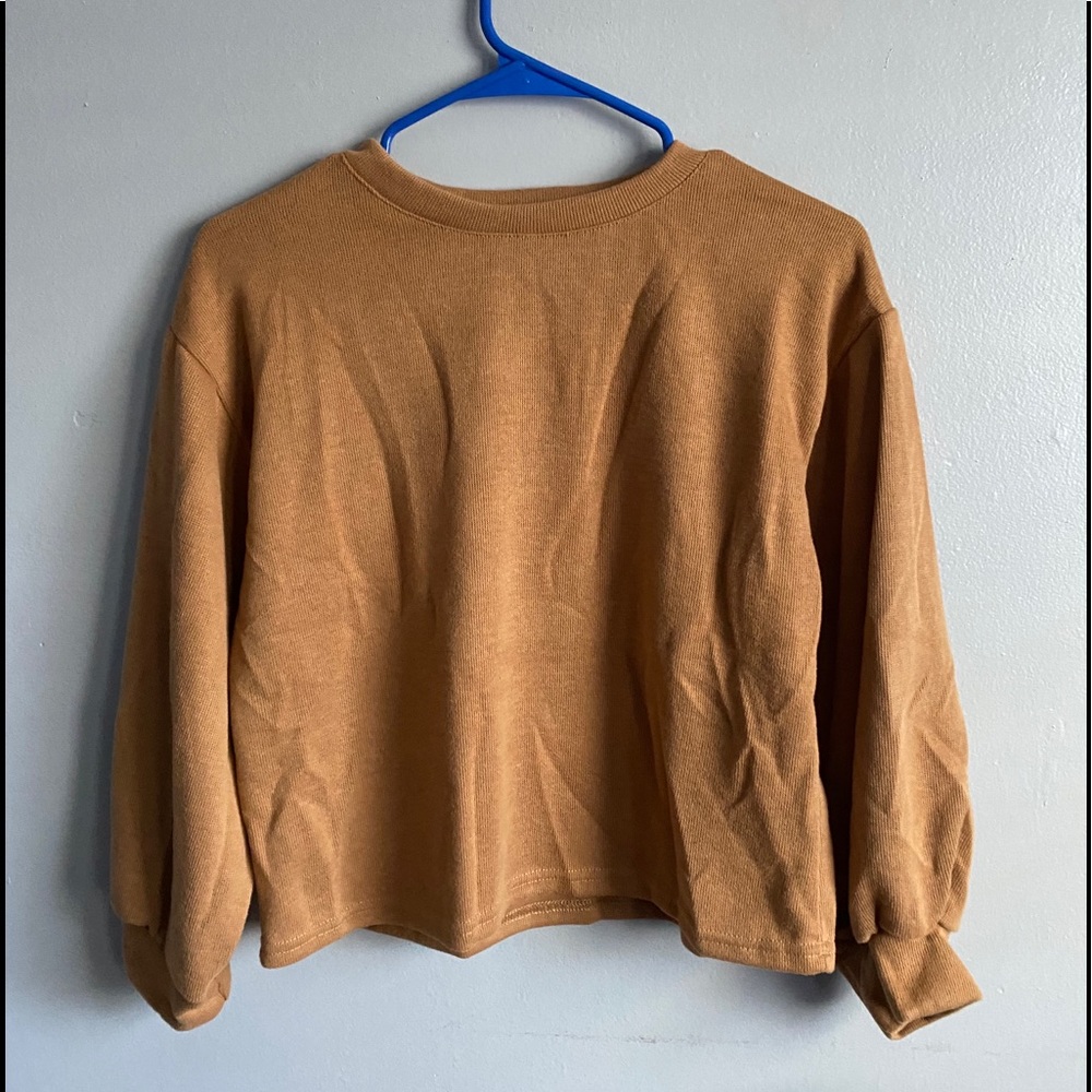 Blouson Sleeve Sweatshirt
